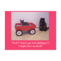 "Pull?!! You've got to be kidding?... postcards by KatAnnette "Pull?!! You've got to be kidding?... postcards