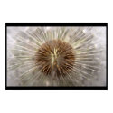 Pulsar posters by robertmekis Pulsar posters