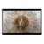 dandelion, macro, spaceships