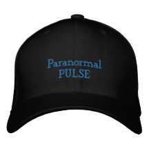 Pulse Logo Embroidered Embroidered Baseball Cap