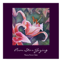 Pum Star Gazing posters