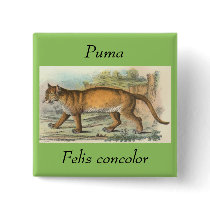 Puma buttons