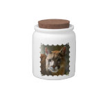 Puma Cat  Candy Jar