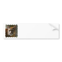 Puma Cats Bumper Sticker