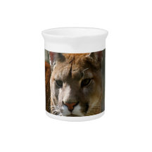 Puma Cats Pitcher