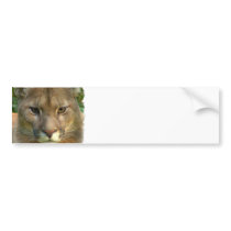 Puma Mountain Cat Bumper Sticker
