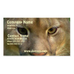 Puma Mountain Cat Business Card