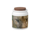 Puma Mountain Cat Candy Jar