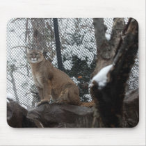 Puma Stare Down mousepads