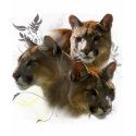 Puma t-shirts by Spyder13x085 Puma t-shirts