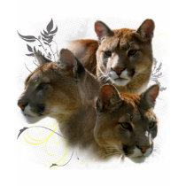 Puma t-shirts by Spyder13x085 Puma t-shirts