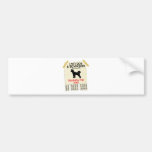 Pumi Bumper Sticker