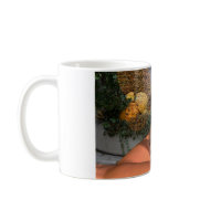 Pumpairy mug