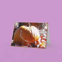 Pumpkin and Autumn Leaves cards