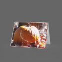 Pumpkin and Autumn Leaves cards