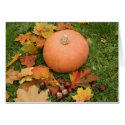 pumpkin and chestnuts cards by heysje pumpkin and chestnuts cards