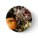 Pumpkin Autumn button