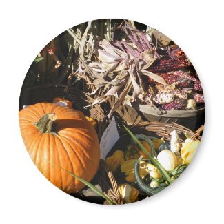 Pumpkin Autumn magnet