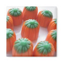 Pumpkin Candy Corn Giftware magnet