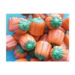 Pumpkin Candy Corn Novelty Gifts Post Cards