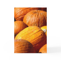 Pumpkin card by timbuss Pumpkin card