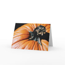 Pumpkin Greeting Cards