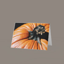 Pumpkin cards by Jack_of_Arts Pumpkin cards