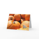 Pumpkin Card #1