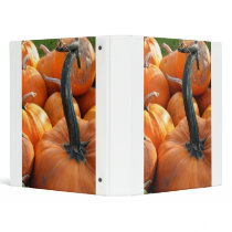 Pumpkin close-up vinyl binder