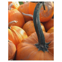 Pumpkin close-up letterhead by Ljrigg Pumpkin close-up letterhead