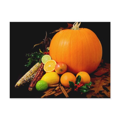 PUMPKIN CORN & FRUIT postcard