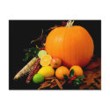 PUMPKIN CORN & FRUIT postcards by dgpaulart PUMPKIN CORN & FRUIT postcards