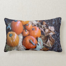 Pumpkin display pillow