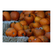 Pumpkin Display posters by daysrays Pumpkin Display posters