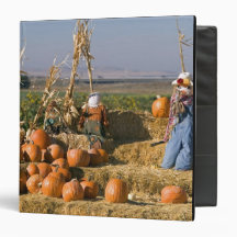 Pumpkin display with hay bales and scarecrows 3 ring binder