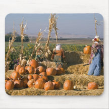 Pumpkin display with hay bales and scarecrows mouse pads