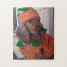 Pumpkin Dog Puzzle