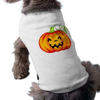 Pumpkin pet clothing