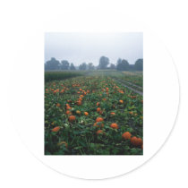 Pumpkin Field stickers
