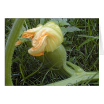 Pumpkin Forming card by serenity_ii Pumpkin Forming card