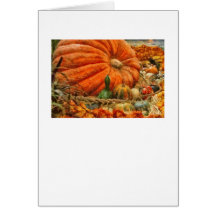 Pumpkin - Great Gourds Cards