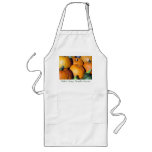 Pumpkin Harvest aprons