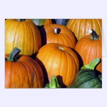 Pumpkin Harvest cards