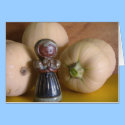 Pumpkin harvest cards