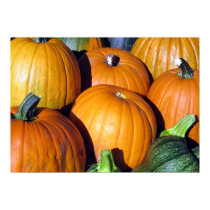 Pumpkin Harvest posters