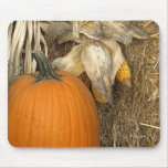 Pumpkin Harvest Time Mouse Pads