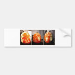 Pumpkin House Bumper Sticker