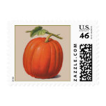 Pumpkin in Autumn Postage