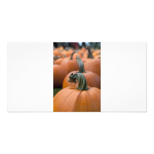Pumpkin in Field Customized Photo Card