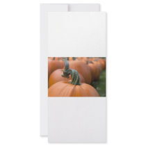 Pumpkin in Field rack cards